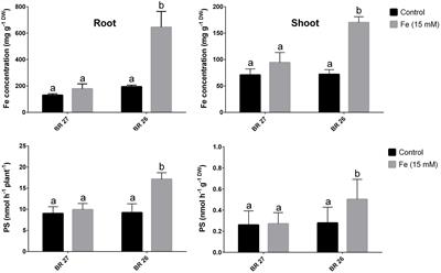 Regulation of Phytosiderophore Release and Antioxidant Defense in Roots Driven by Shoot-Based Auxin Signaling Confers Tolerance to Excess Iron in Wheat